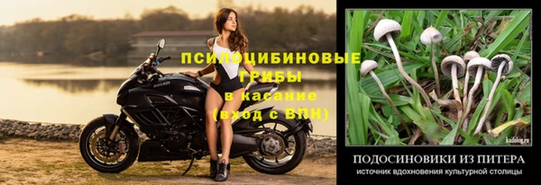 марки nbome Аркадак